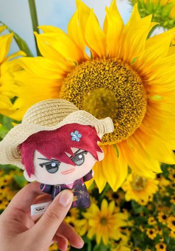 大輪の花🌻