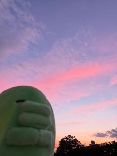 おそら きれい✨