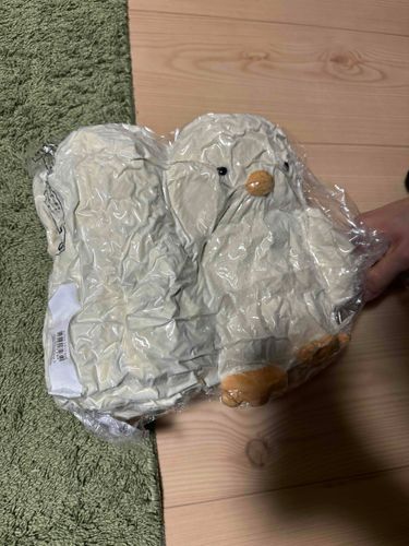 くしゃくしゃだっぴ
