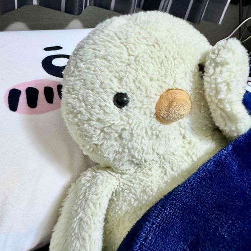 さいきんのあさはさむいっぴ
なかなかおきられないっぴ
ぴよのまくらはちいかわだっぴ