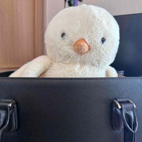きょうはかいぬしがめんせつってことをしにいくぽよ
まえのおしごとはたいへんでひきこもりになっちゃってたけどぽよはずっとおうちにいてくれてたのしかったぽよ
ちょっとさみしいけどがんばってほしいぽよ

ぴよすけはせんたくちゅうだからぽよがおみおくりするぽよ