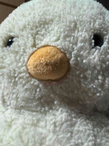 きれいになったからじどりしたっぴ
かいぬしはしごともきまったみたいだっぴ
きょうはみんなのおかげでいいひだったっぴ