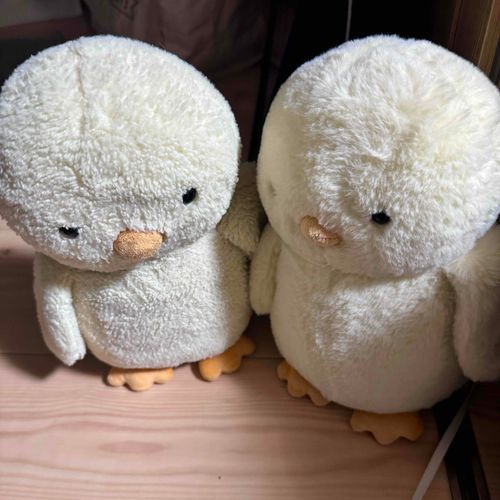 きょおはかいぬしがおしごとでぴよとぽよはさみしかったっぴ
ふたりかいぬしがいるっぴけどふたりともいないとさみしいっぴ
ぽよもかなしそうだったっぴ
おしごとなんていやだっぴ