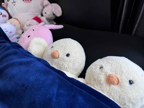 ひさしぶりだっぴ
かいぬしはさいきんいそがしいらしくってすまほかしてくれなかったっぴ
だからとうこうできなかったっぴ

ばつとしてきょおはぴよがかいぬしのぶんまでねるっぴ！
