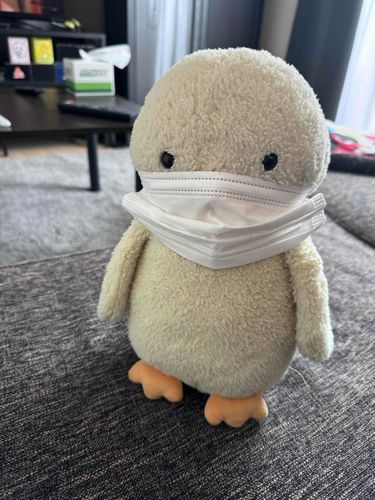 かいぬしがいんふるってやつになったっぴ。
すごくしんどそうだから、ぴよがかんびょおしてやるっぴ。
ますくつけたけどぎゃんぐすたーみたいだってわらわれたっぴ！！！