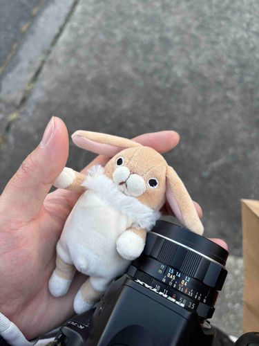 今日は友達のカメラデビューついでにオールドレンズ買いに行った。
もちうさⅡ型はずっと不服そうでかわいいね。