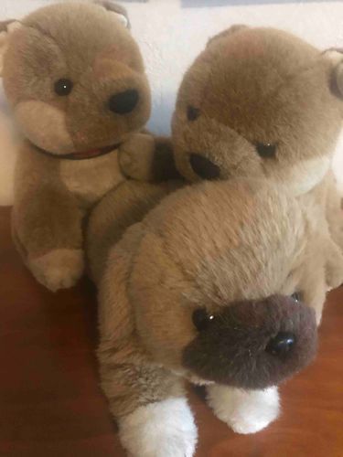 みんな、
寒いお部屋に居たから、
冷たくなってるー
風邪ひいたら大変！
暖かいお部屋で遊ぼうね
(﹡ˆ﹀ˆ﹡)