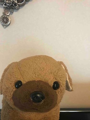 昨日は、
お姉ちゃんのお誕生日で、1つ歳をとってしまった～って嘆いていました。
たろちんは、いつも2歳でいいね～って言われました(*ˊᵕˋ*)
