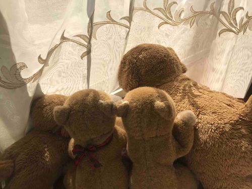 ひなたぼっこしてま〜す( ◠‿◠ )

ひなたぼっこしたら、
みんな、
ふわふわになって
お布団みたいな匂いになるよ。