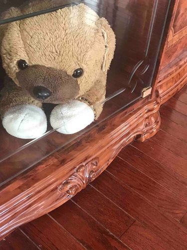 テレビの下に隠れていたら、
おねえちゃんが、
「たろち～ん、
        たろち～ん」って
探してたよ（笑）