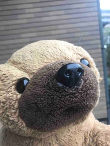 雪だ〜