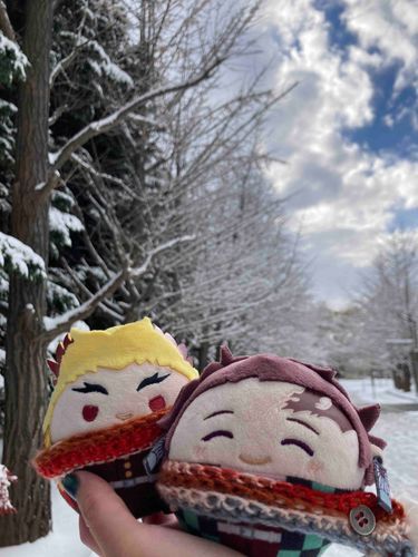 (..◜ᴗ◝..)主！雪です！！！
(..•̀ ᴗ•́..)初めて見る銀世界だな！！！
