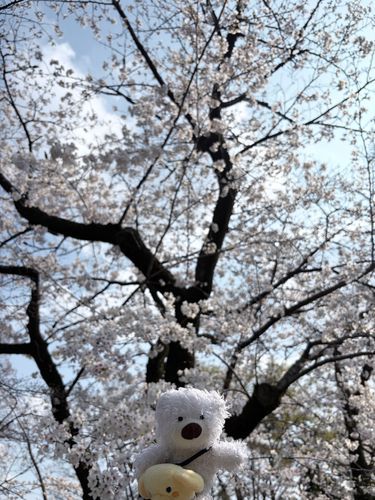 おでかけしたよ
おともだちもいっしょ
ぽかぽか