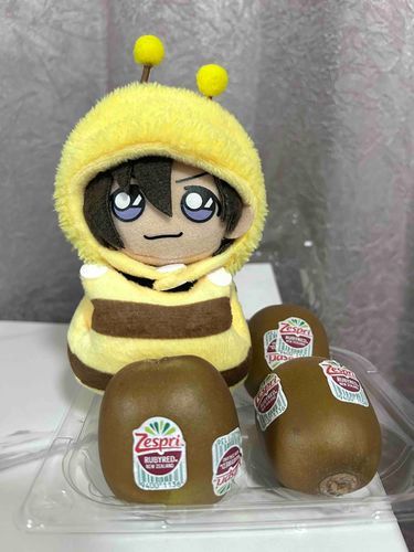 中身が赤いキウイだぬ！