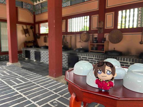 時代劇の撮影やってたぬ！