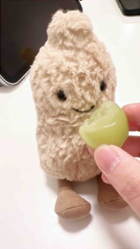 シャインマスカットおいしかった〜