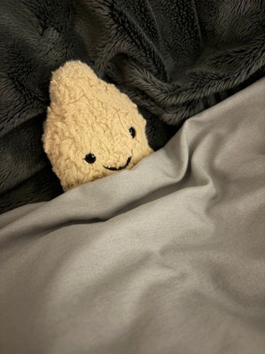 ふとんからでたくないよ
