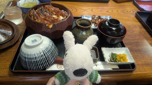 妹のもこちゃんがおひるにうなぎをたべたよ