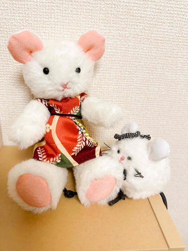 ぬし が つくる した あたらしい かぞく ふえた🍙🐭ﾁｩ!!
ねずみ の しろさん だって👗