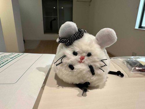 あたらしいおうち まだ なにもない 👀
ばるさん たく した✌️🍙🐭
