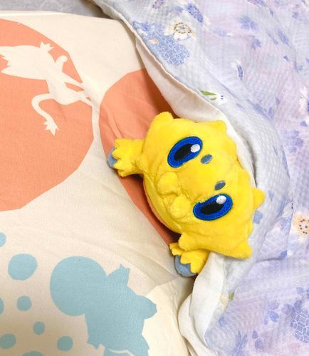おやすみなさーい🌙💤