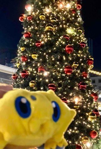もうすぐクリスマス、街中がきらきらしてるね