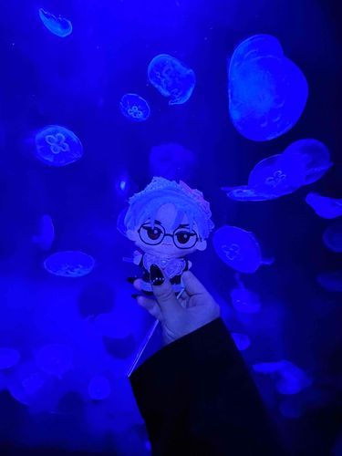 くらげさん
