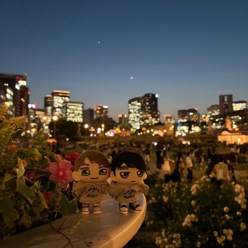 夜のバラ園(中之島公園)