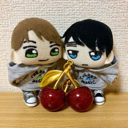 きのう、きんきんのぬい主からもらったキーホルダー🍒
でかっ🤣