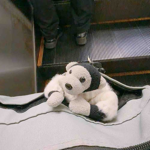 満員電車に呆気にとられているえだまめさん たいへんだったね