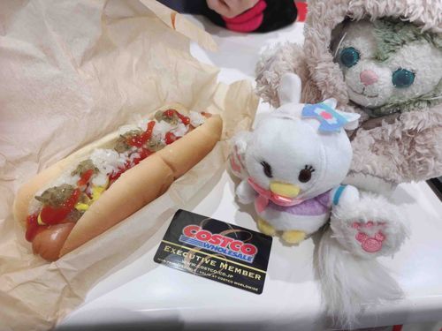 コストコに行ってきましたん✨
ジェラデジ~ホットドッグですよ~
