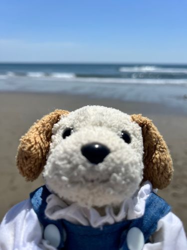 海ばっかり撮ってたらすねちゃうよ
下からぬっと出てくるよ