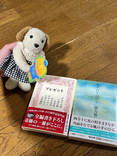 雨の日が多いからね、本いっぱい読めるね