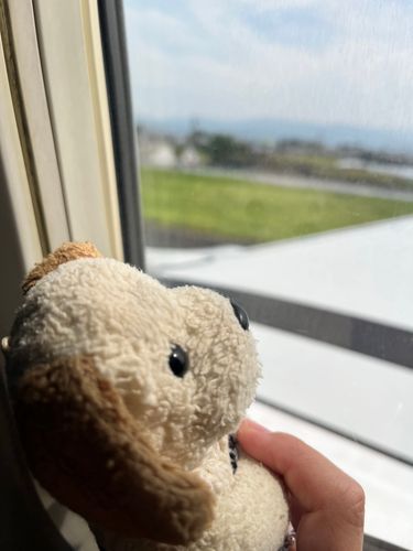 しろん、旅に出るの✈️