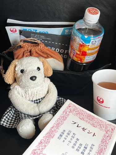 (このコンソメスープ、おいしかったから帰りも飲んだんだ)