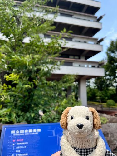 デカデカデッカイ図書館にきたよ