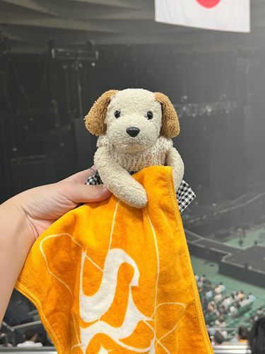 山本彩ちゃんの武道館ライブに行ったの🐶🍊