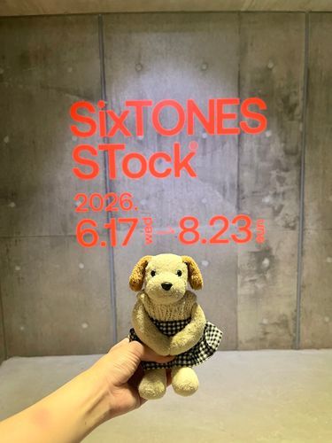 SixTONESのいろんなものを並べてあるところに行ってきたよ！🐶✦