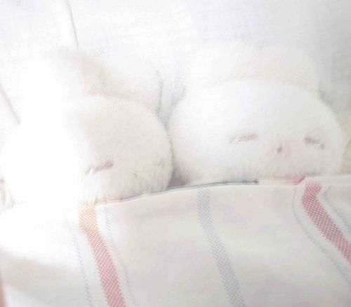 まだ ねてたい ょ