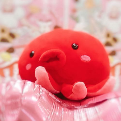 はじめまちて！
ぼくのなまえは、たこぴー！
よろちくにぇ！ここでは、ぼくのしゃしんとかをと〜こー？してるんだ！なかよくちよ〜ね！