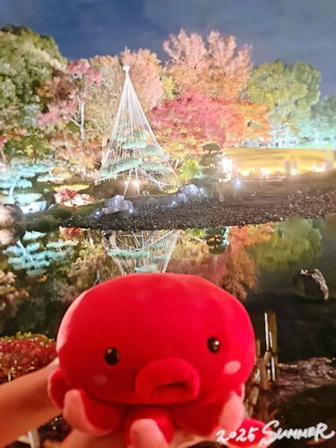 いるみね〜しょんをみにいったよ！とってもきれいだった！いちねんまえだけどね〜
