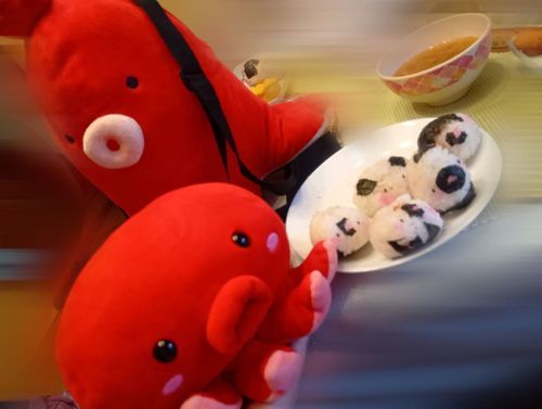 きょーはおいしそ〜なぼくたちににてるオニギリをたべたよ！おいちかった！