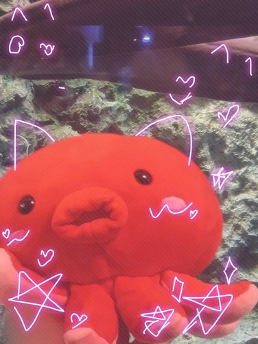 たこたこりょ〜つあ〜に！
しょ〜げき！あのたこぴー！でんきうなぎさんとハイ！チーズ！