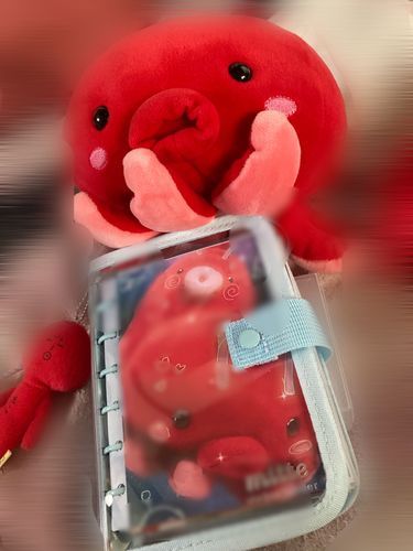 きょ〜はおね〜ちゃんがぼくのしゃしんちょうをつくってくれたよ！うれしー！
