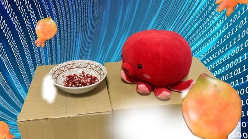 みんなおひさしぶり！さいきん とーこーできてなくて ごめんね！じつはちょっといそがしくって！そうそう！このまえね！ザクロ？ってゆ〜のを たべたの！とってもおいちかった！あれ？でもこのまえみたザクロは ぼくみたいな形で……このザクロはつぶつぶしてる！なんでだろう？……あとでおねえちゃんに聞いてみる！