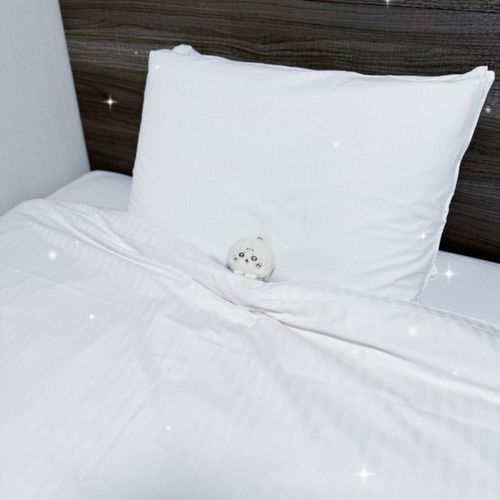 ﾊﾞﾌﾞ...😴💤⭐️