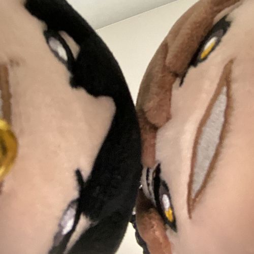💛「ぬ〜？ぬ〜！(なあほくと！これなんなんだ？)」

🖤「んやまあ見ればわかる通り、カメラでしょうよ」

💛「ぬ....(俺たちが写ってるね)」

🖤「そうね、だってカメラだからね。あ、そういえばカメラってのはね実は昔にねそ