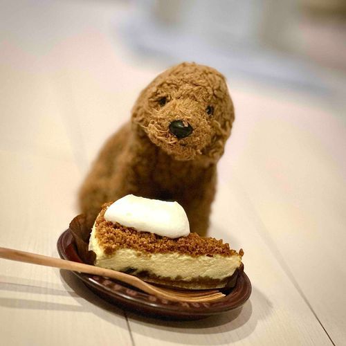 みてみて
めめたんと同じいろのけーき🍰

（文責:めめたん）