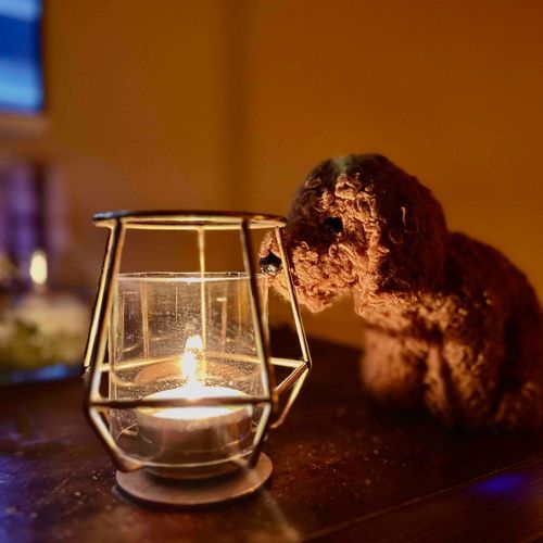 きょうもみんなおつかれさまわん
🕯️ひをみると、こころがやすらぐってしゃちょうがいってるわん

よくわからないわん

（文責:めめたん）