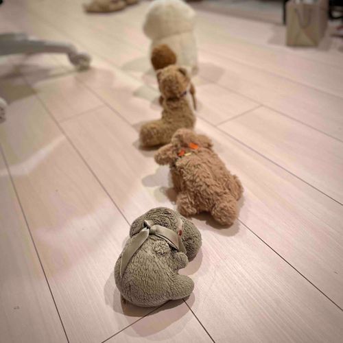 もふずでんしゃ（かくてい）

うしろからみたず

（文責: ひぽたん）